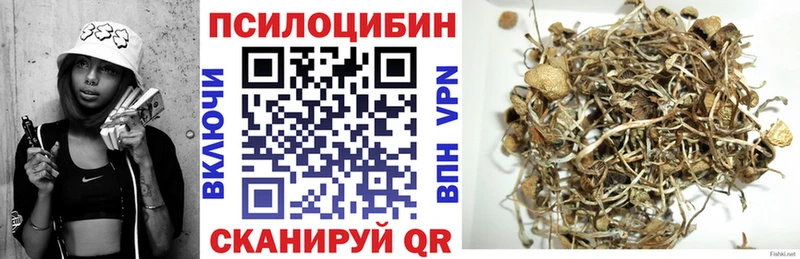 дарнет шоп Муром Галлюциногенные грибы мицелий